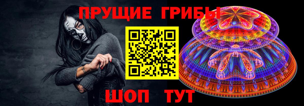 Отрадный  Галлюциногенные грибы Psilocybine cubensis  Псилоцибиновые грибы Psilocybe  Вход с VPN 